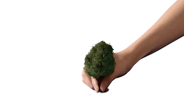 Workflow workflow_07.png